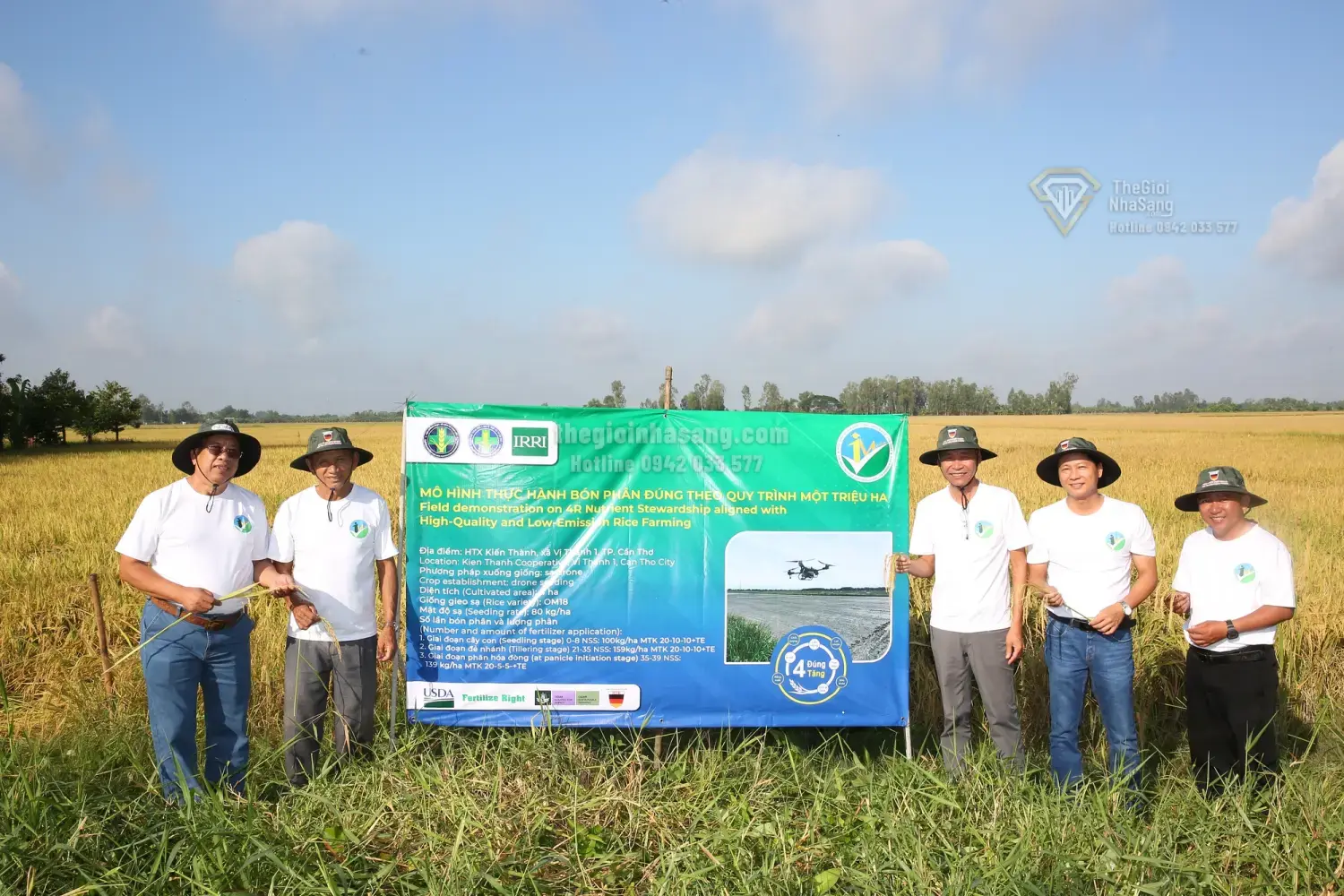 Cần Thơ Phát Triển Vùng Nguyên Liệu Lúa Chất Lượng Cao: Cơ Hội Mới Cho Đầu Tư Bất Động Sản Nông Nghiệp Và Hạ Tầng Vùng