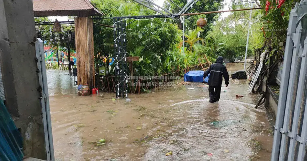 Cảnh Báo Bệnh Truyền Nhiễm Sau Mưa Lớn: Ảnh Hưởng Đến Thị Trường Bất Động Sản Và Đầu Tư Hạ Tầng