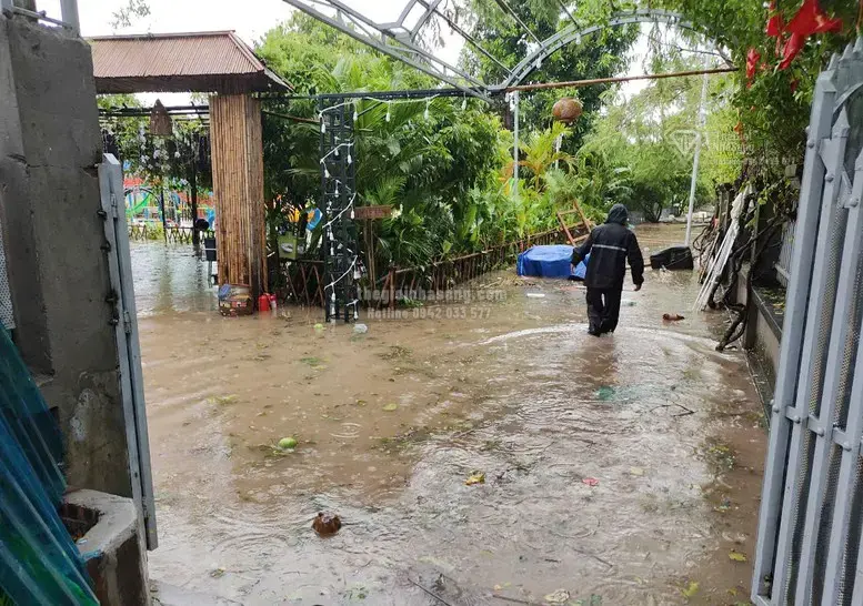 Cảnh Báo Bệnh Truyền Nhiễm Sau Mưa Lớn: Ảnh Hưởng Đến Thị Trường Bất Động Sản Và Đầu Tư Hạ Tầng