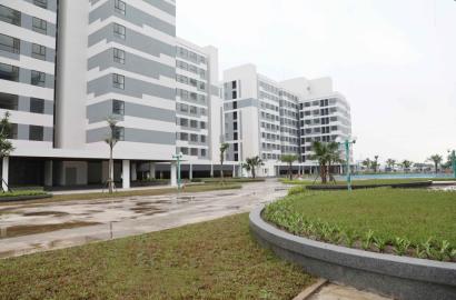 Cao Bằng Kích Hoạt Lại Quỹ Nhà Đất Dôi Dư: Đòn Bẩy Phát Triển Bất Động Sản và An Sinh Xã Hội