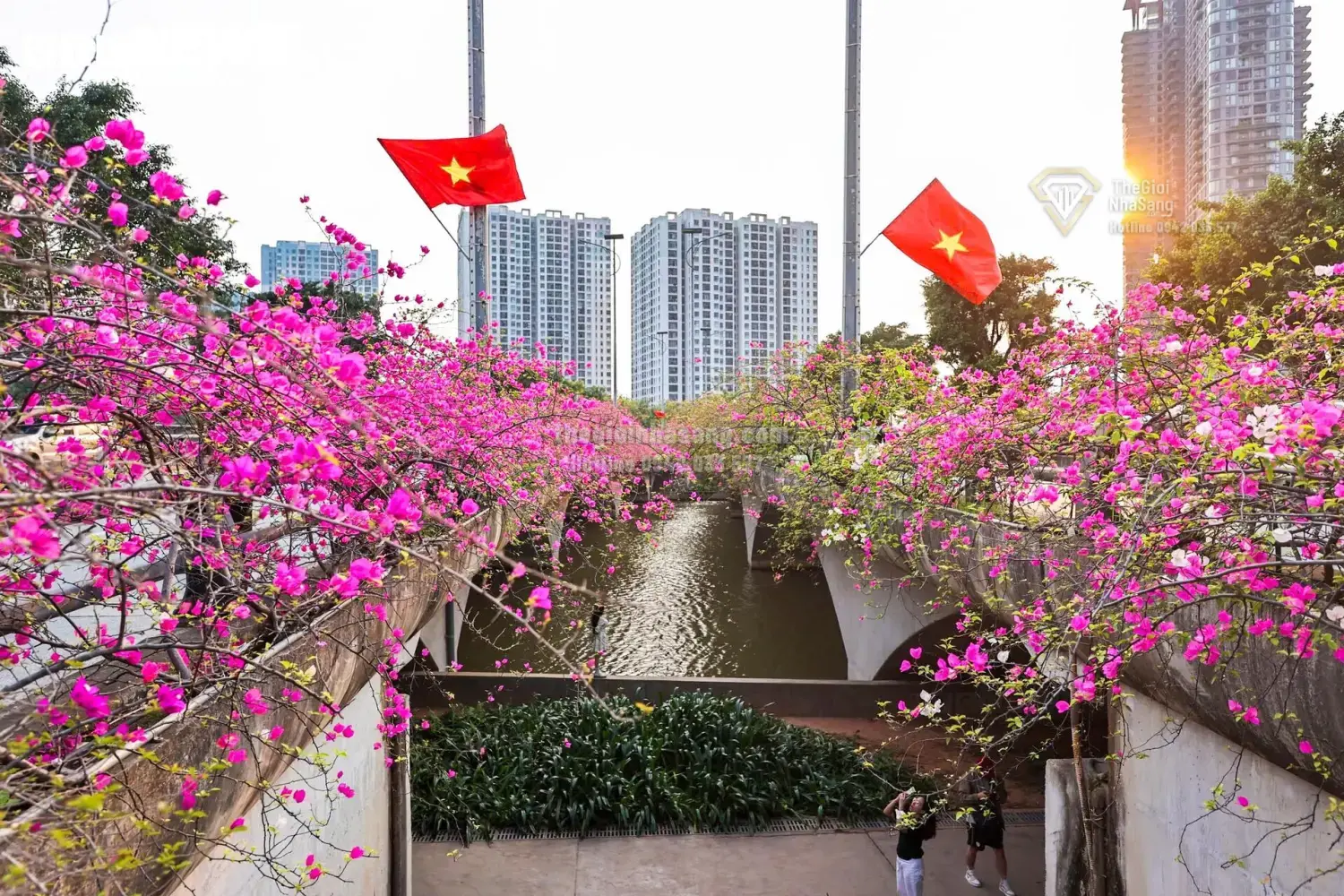 Cầu Thủy Tiên – Điểm Đến Mới Thu Hút Đầu Tư Bất Động Sản Sinh Thái Hưng Yên