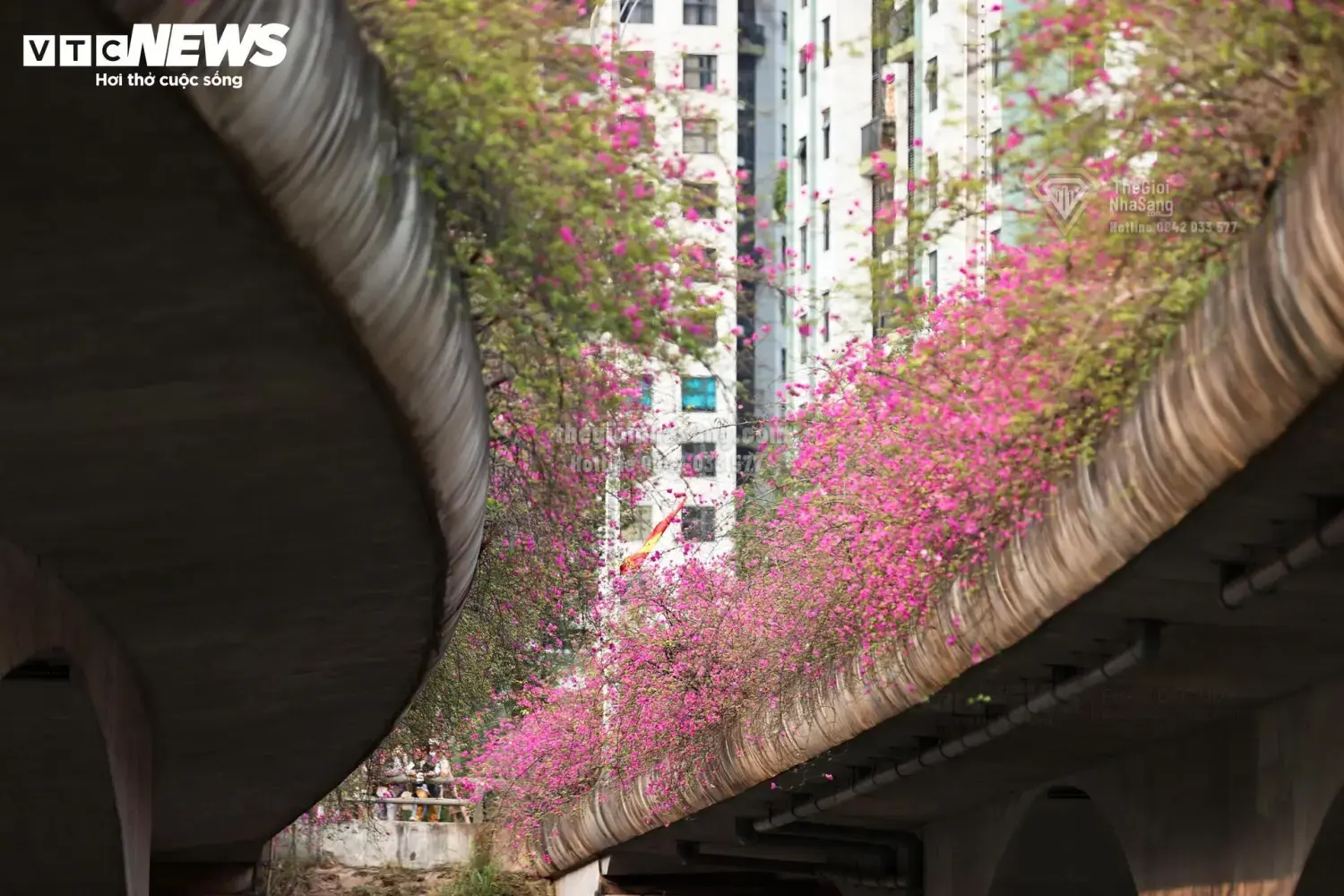 Cầu Thủy Tiên – Điểm Đến Mới Thu Hút Đầu Tư Bất Động Sản Sinh Thái Hưng Yên