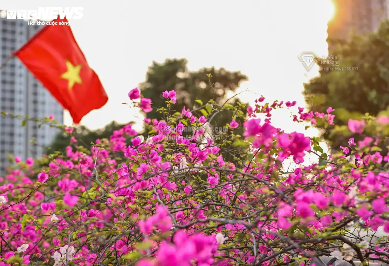 Cầu Thủy Tiên – Điểm Đến Mới Thu Hút Đầu Tư Bất Động Sản Sinh Thái Hưng Yên