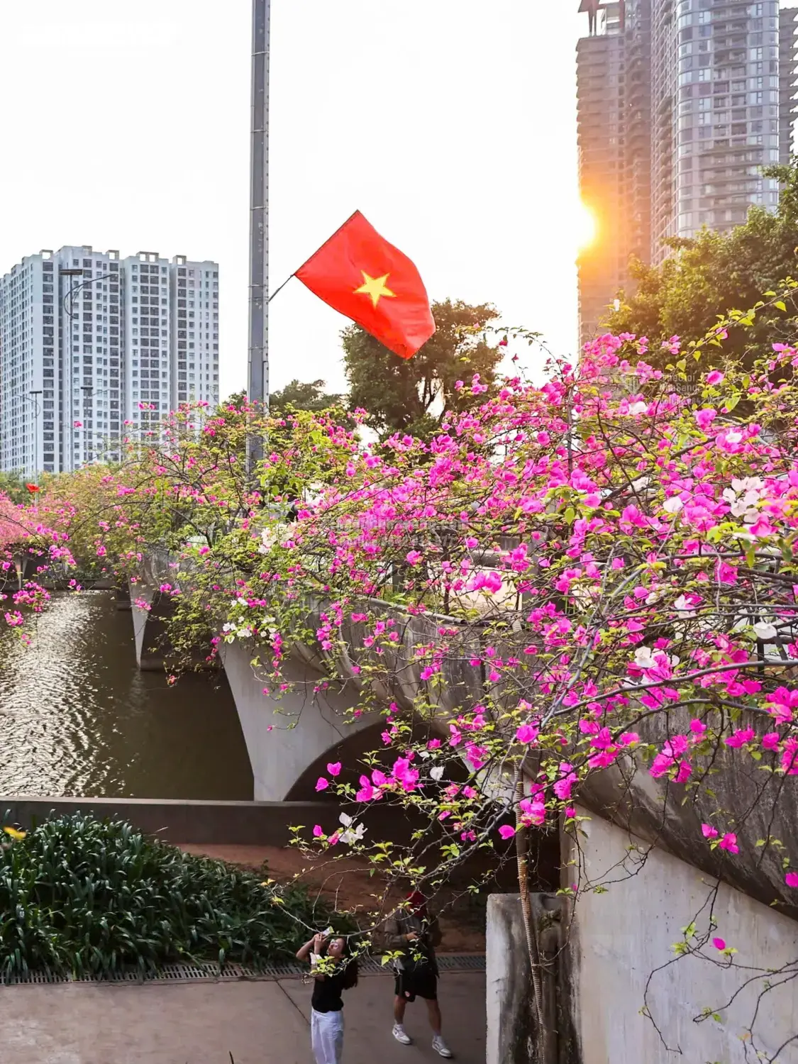 Cầu Thủy Tiên – Điểm Đến Mới Thu Hút Đầu Tư Bất Động Sản Sinh Thái Hưng Yên