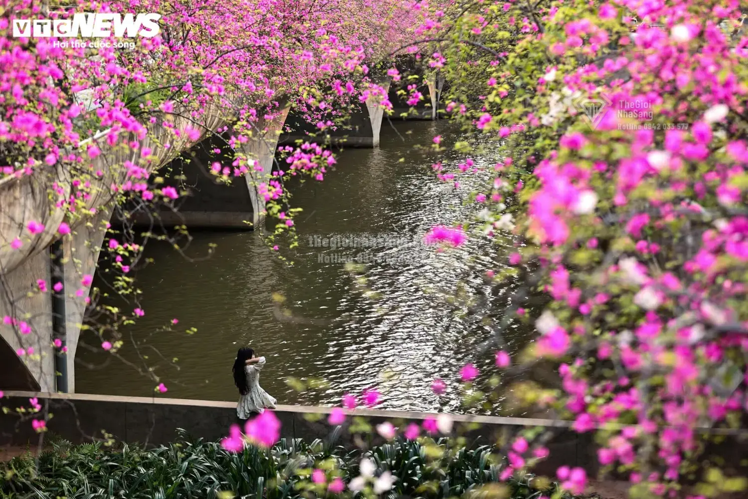 Cầu Thủy Tiên – Điểm Đến Mới Thu Hút Đầu Tư Bất Động Sản Sinh Thái Hưng Yên