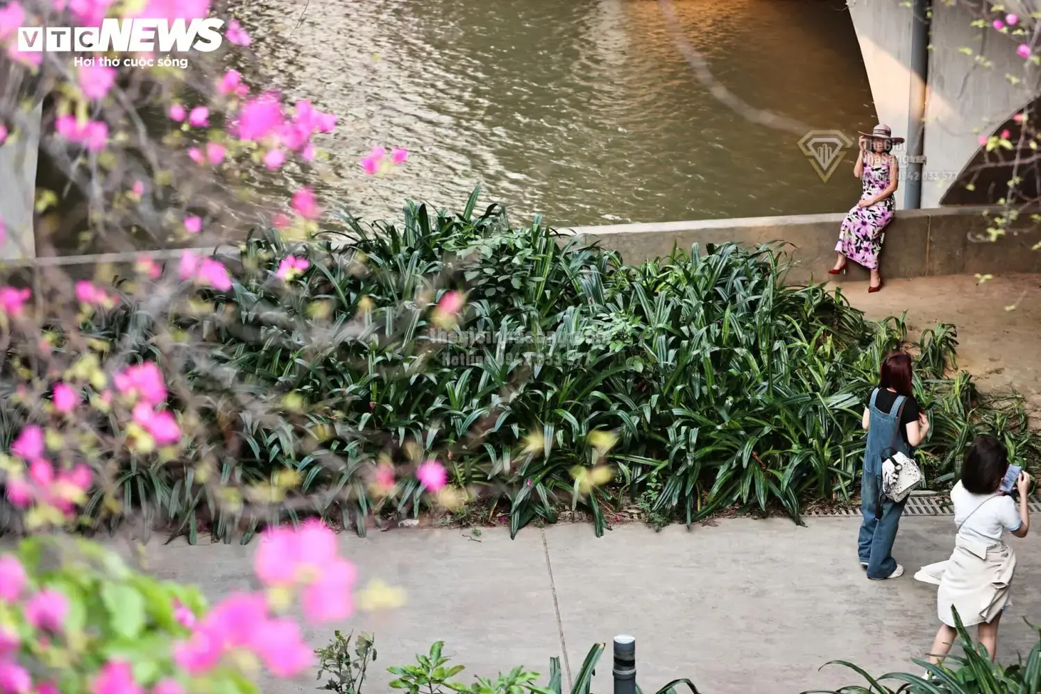 Cầu Thủy Tiên – Điểm Đến Mới Thu Hút Đầu Tư Bất Động Sản Sinh Thái Hưng Yên