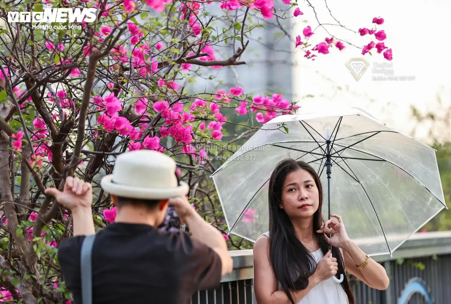 Cầu Thủy Tiên – Điểm Đến Mới Thu Hút Đầu Tư Bất Động Sản Sinh Thái Hưng Yên