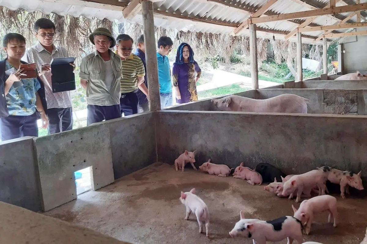 Tổ hợp chăn nuôi an toàn sinh học 4F