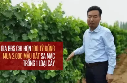 Chiến lược đầu tư bất động sản và nông nghiệp bền vững: Bài học từ đại gia Trung Quốc biến sa mạc thành “bãi cát vàng”