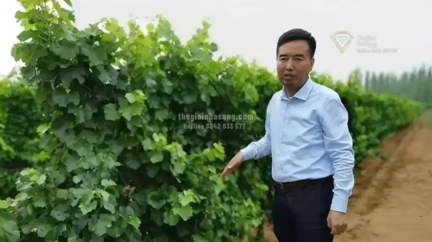 Chiến lược đầu tư bất động sản và nông nghiệp bền vững: Bài học từ đại gia Trung Quốc biến sa mạc thành “bãi cát vàng”