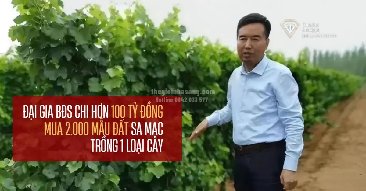 Chiến Lược Đầu Tư Đột Phá: Biến Sa Mạc Gobi Thành Vùng Đất Vàng Bất Động Sản Nông Nghiệp Cao Cấp