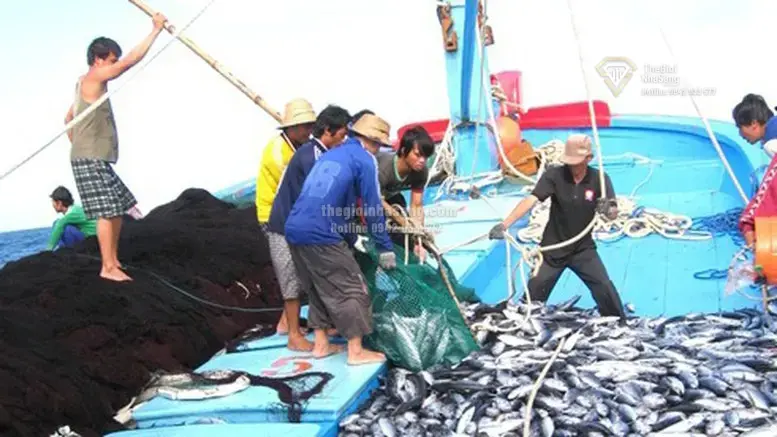 Chính Sách Mới 2026: Tác Động Tích Cực Đến Hạ Tầng và Thị Trường Bất Động Sản Việt Nam