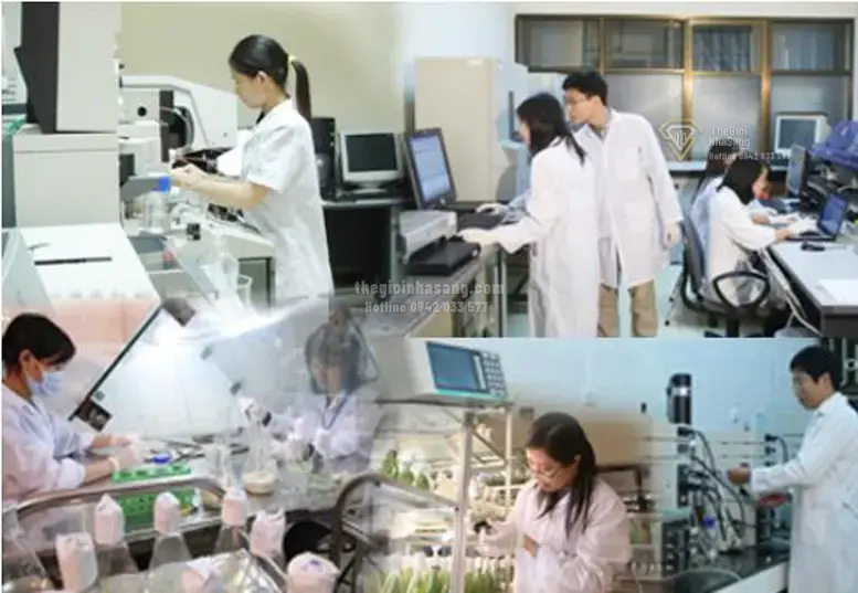 Chính sách mới và xu hướng phát triển nhân lực công nghệ: Tác động đến thị trường bất động sản và đầu tư tài sản tại Việt Nam 2026
