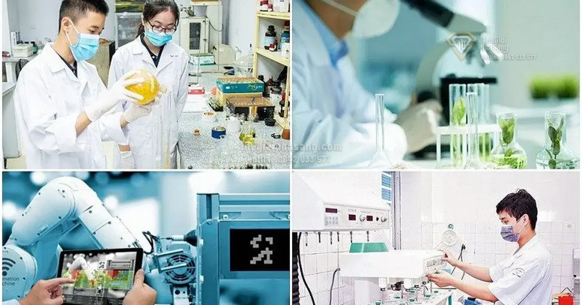Chính sách mới về tổ hợp tác, hợp tác xã và tác động đến thị trường bất động sản Việt Nam 2026