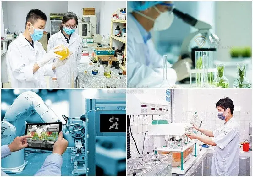 Chính sách mới về tổ hợp tác, hợp tác xã và tác động đến thị trường bất động sản Việt Nam 2026