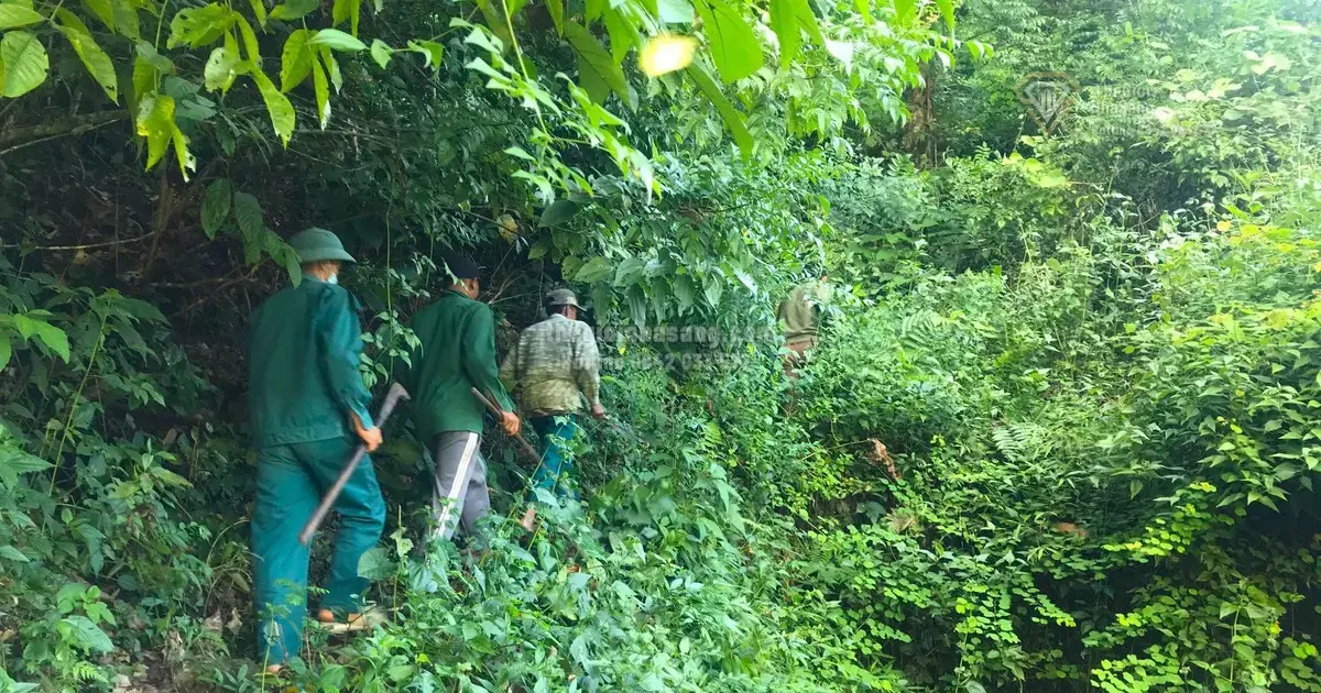 Chính Sách Phụ Cấp Cho Viên Chức Bảo Vệ Rừng: Tác Động Đến Quản Lý Tài Nguyên Và Đầu Tư Bất Động Sản Vùng Rừng