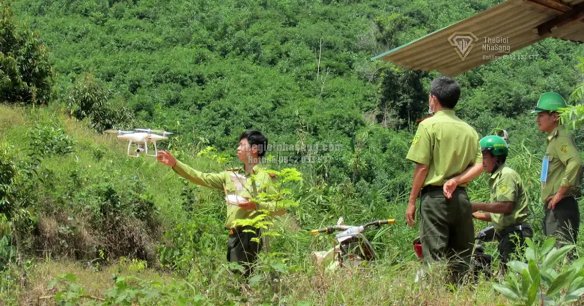 Chính sách phụ cấp chuyên trách bảo vệ rừng và tác động đến quản lý tài sản bất động sản khu vực rừng phòng hộ