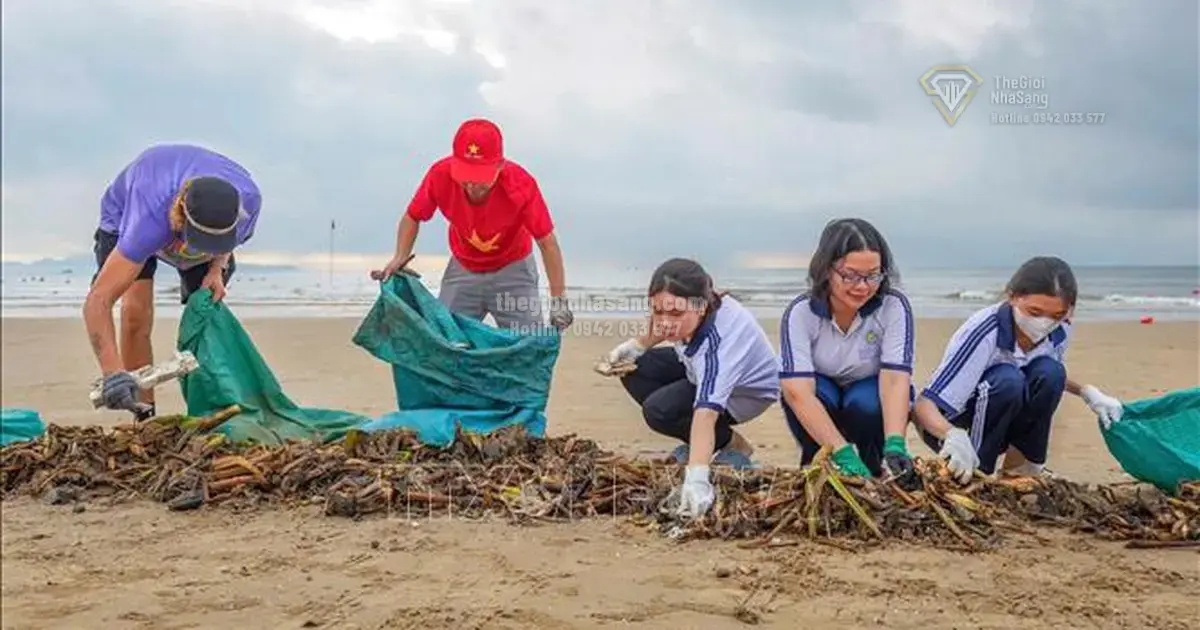 Chương Trình Hành Động Bảo Vệ Môi Trường 2026-2030: Tác Động Đến Thị Trường Bất Động Sản Và Đầu Tư Bền Vững