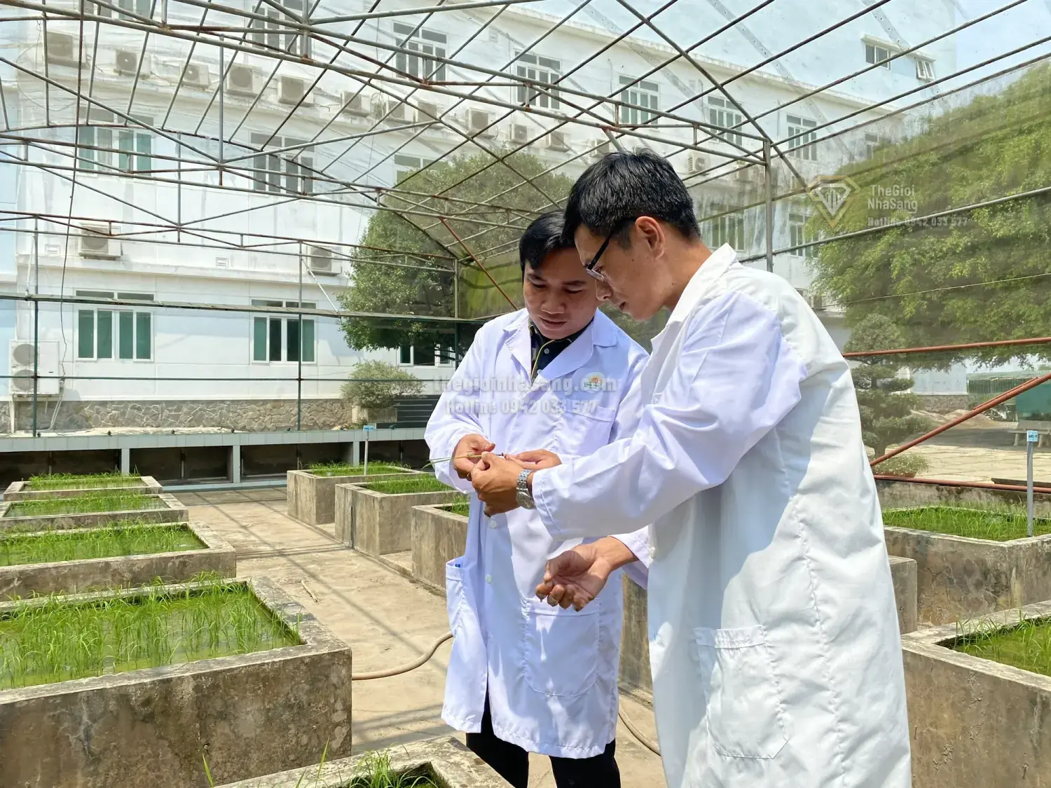 Chuyển Đổi Khoa Học Công Nghệ Trong Nông Nghiệp: Đòn Bẩy Mới Cho Thị Trường Bất Động Sản Nông Thôn Và Đô Thị Vùng Ven