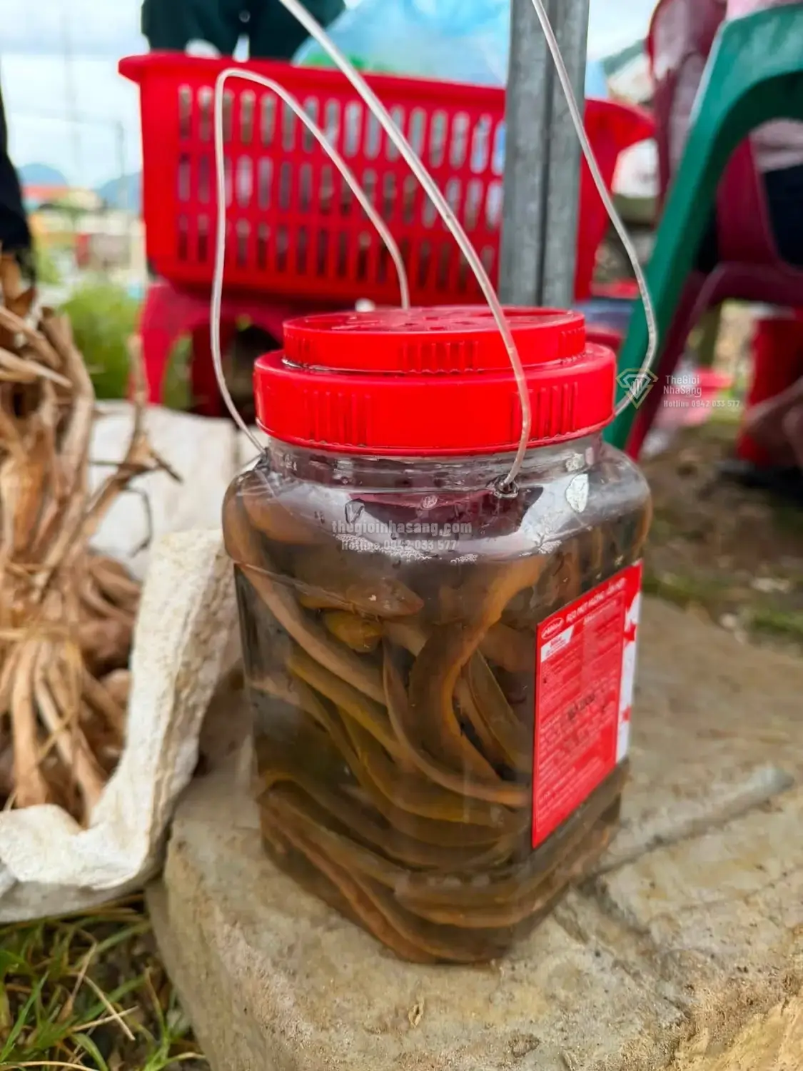Chuyển đổi số vùng cao: Bí thư xã Vân Sơn và hành trình quảng bá du lịch bền vững qua nền tảng số