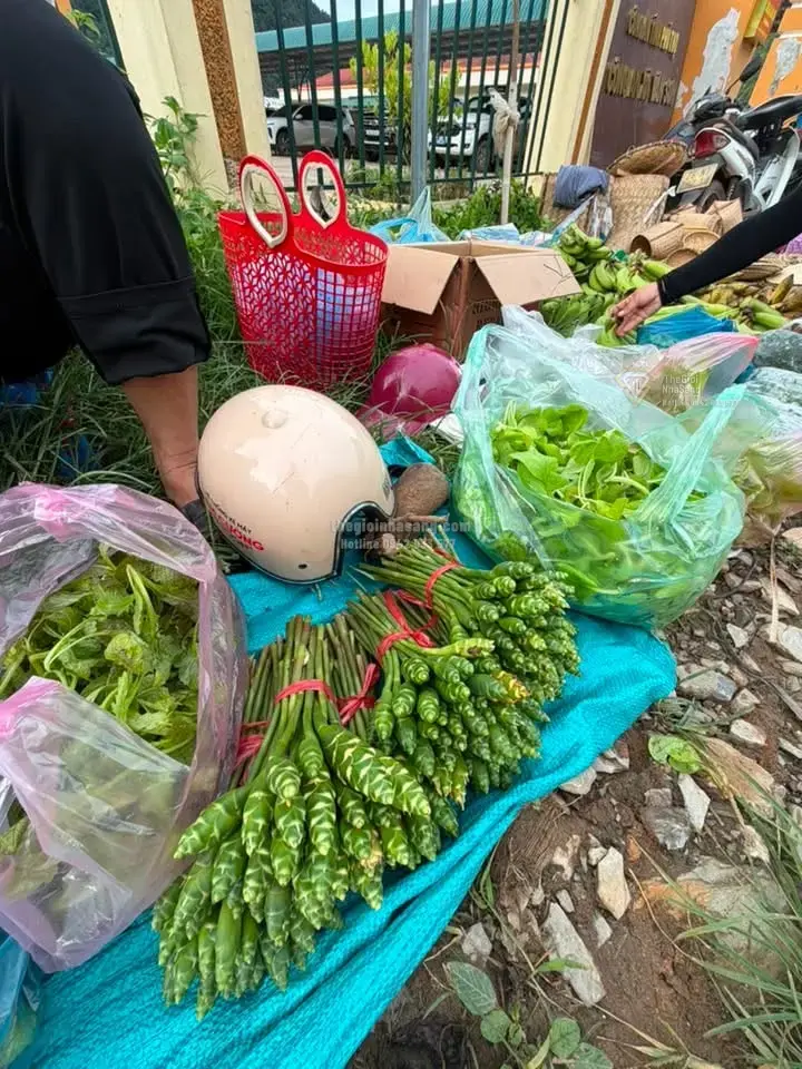 Chuyển đổi số vùng cao: Bí thư xã Vân Sơn và hành trình quảng bá du lịch bền vững qua nền tảng số