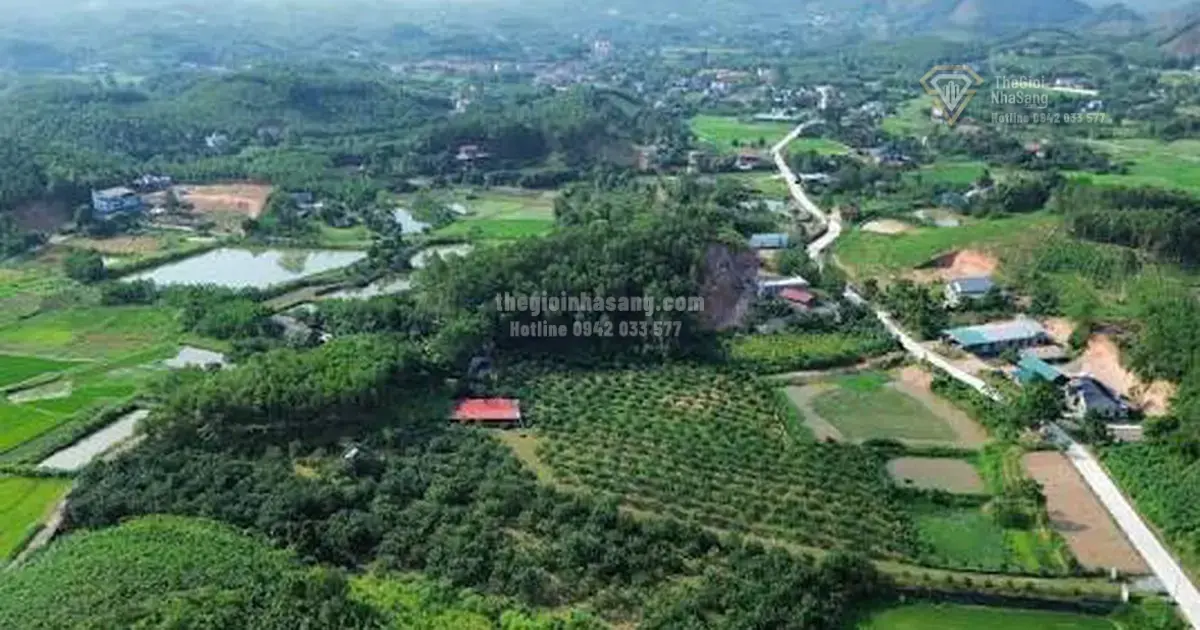 Chuyển Mục Đích Đất Rừng Sản Xuất Sang Đất Sản Xuất Phi Nông Nghiệp: Cập Nhật Thủ Tục và Chính Sách Mới 2026