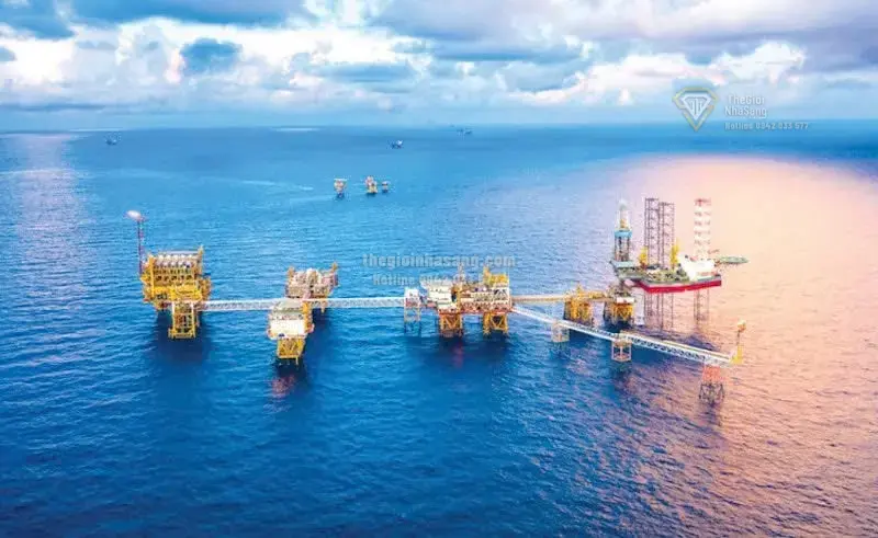 Cơ Chế Đặc Biệt Phát Triển Kinh Tế Nhà Nước và Tác Động Đến Thị Trường Bất Động Sản Việt Nam