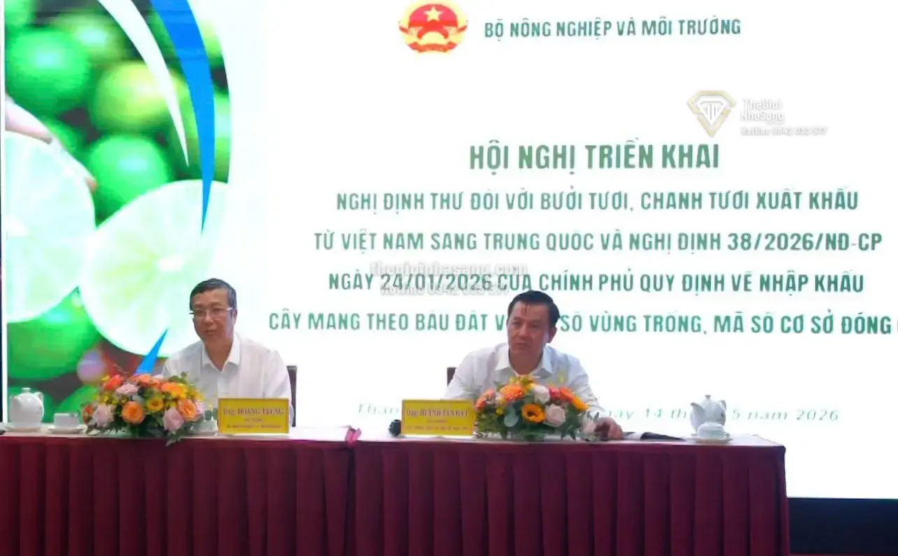 Cơ Hội Mới Cho Bưởi, Chanh Việt Nam Mở Rộng Thị Trường Trung Quốc và Tác Động Đến Bất Động Sản Nông Nghiệp