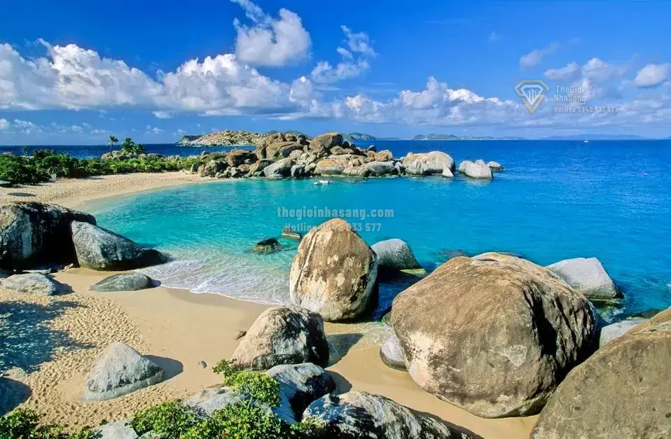 Cơ Hội Vàng Từ Năng Lượng Tái Tạo Cho Thị Trường Bất Động Sản Công Nghiệp và Đô Thị Việt Nam 2026