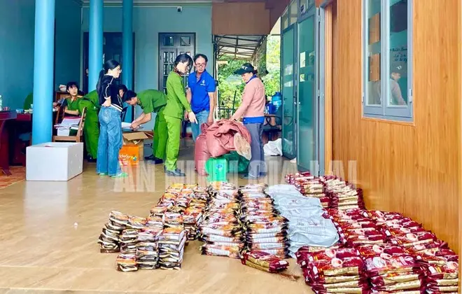 Gia Lai: Thu Giữ Gần 5 Tấn Nguyên Liệu Nghi Dùng Làm Cà Phê Giả - Giải Pháp Ngăn Chặn