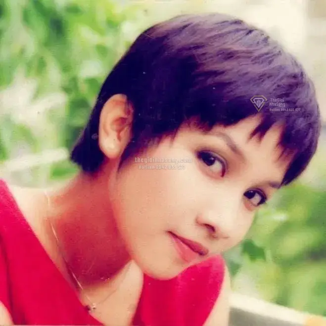 Cuộc sống viên mãn và không gian biệt phủ sinh thái rộng lớn của diva Mỹ Linh tại Sóc Sơn