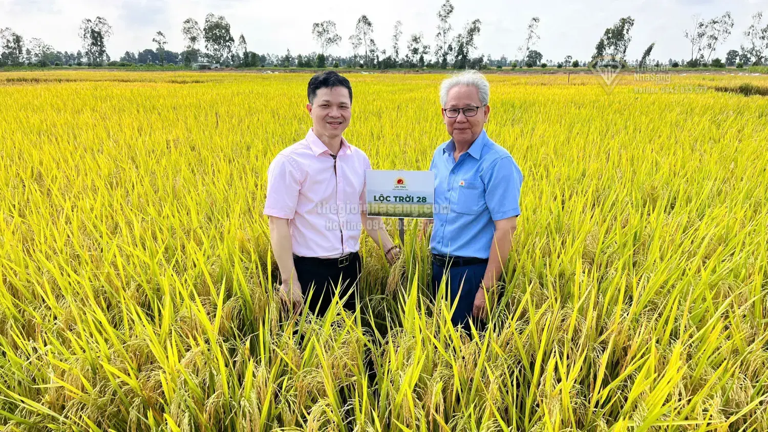 Cuộc Thi Gạo Ngon ĐBSCL 2026: Cú Huých Mới Cho Nông Nghiệp Bền Vững và Tác Động Đến Thị Trường Bất Động Sản Vùng Đồng Bằng