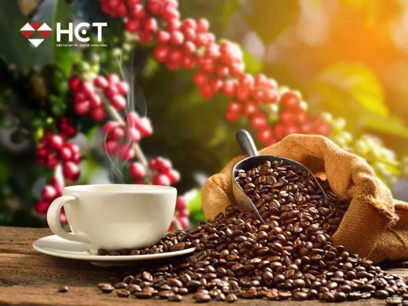 Giá cà phê 6/10: Ổn định, nguồn cung toàn cầu vẫn thắt chặt do xuất khẩu Brazil giảm