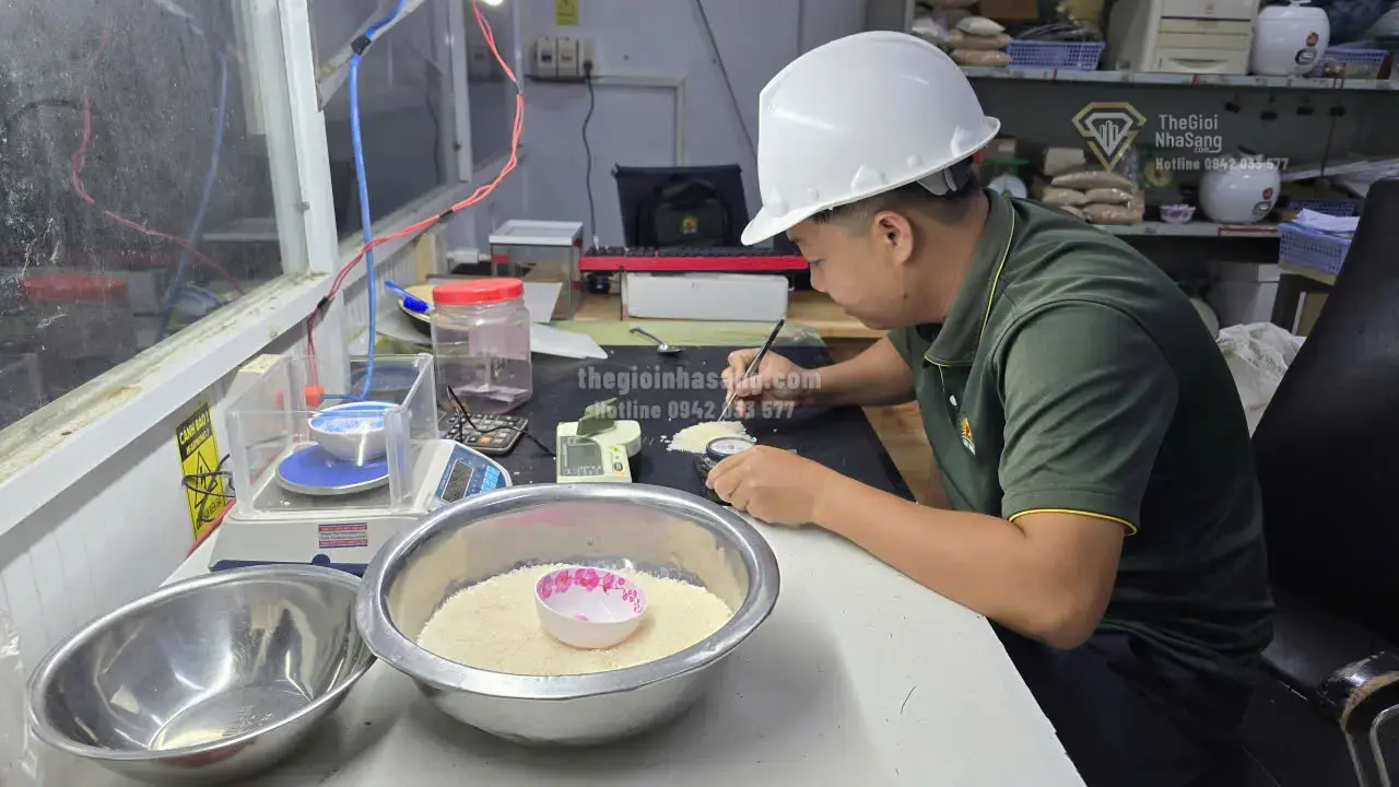 Đề Án 1 Triệu Héc-ta Lúa Chất Lượng Cao: Bước Tiến Mới Trong Chuỗi Giá Trị Nông Nghiệp và Tác Động Đến Thị Trường Bất Động Sản Vùng Nông Thôn