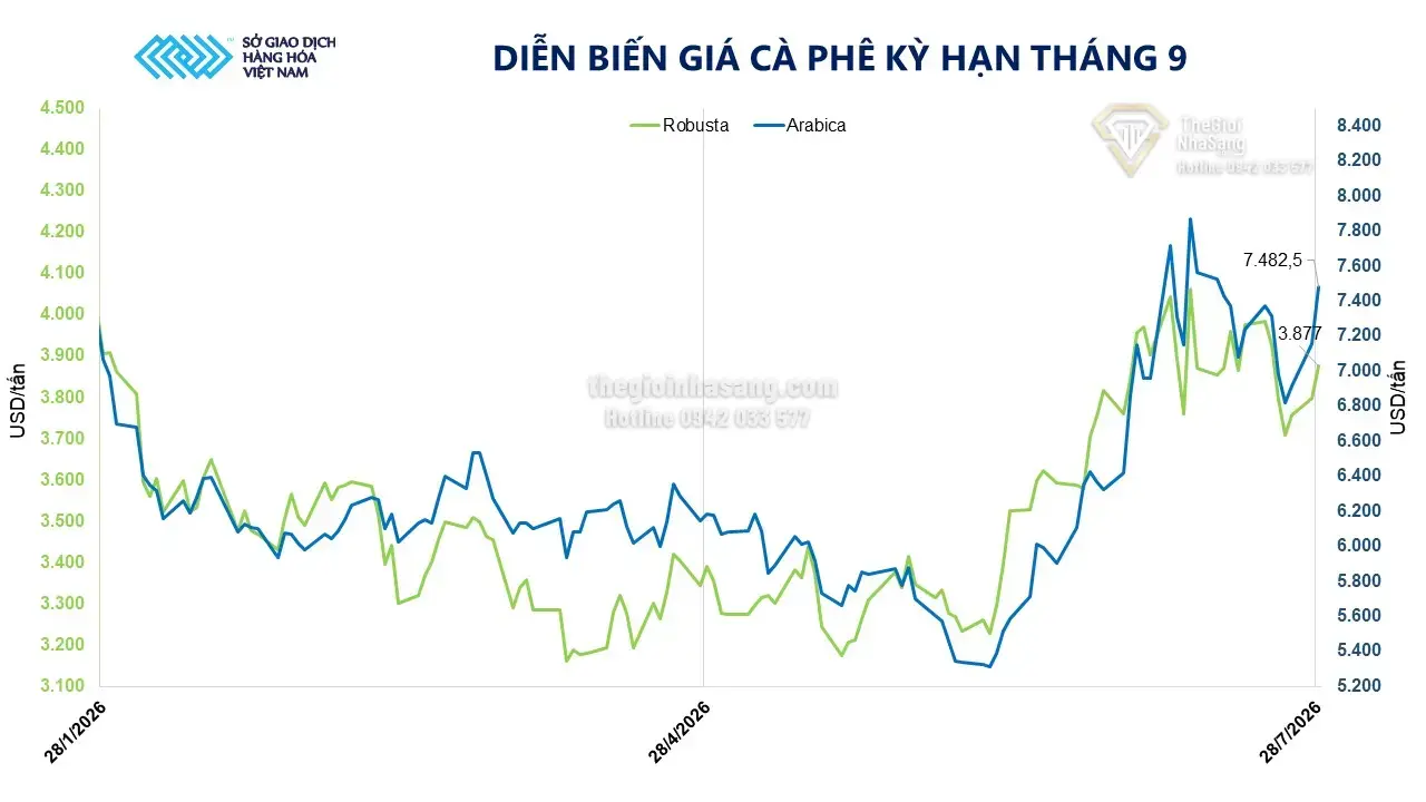 Diễn biến giá dầu và cà phê: Tác động đến thị trường bất động sản và đầu tư tài sản tại Việt Nam