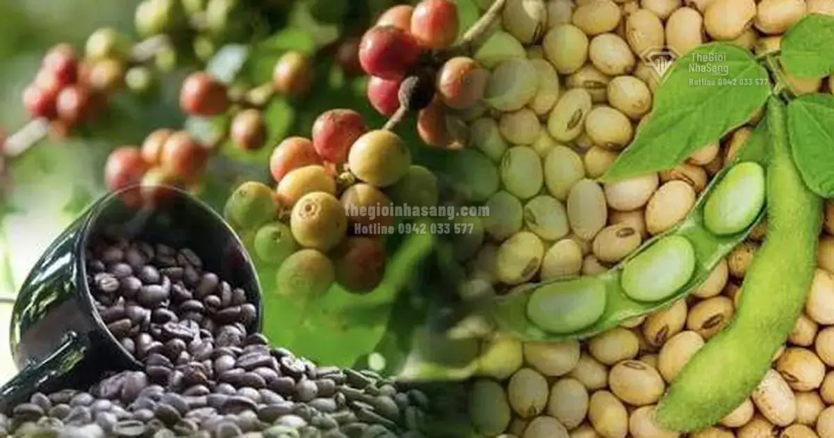Diễn biến thị trường hàng hóa và tác động đến chiến lược đầu tư bất động sản năm 2026