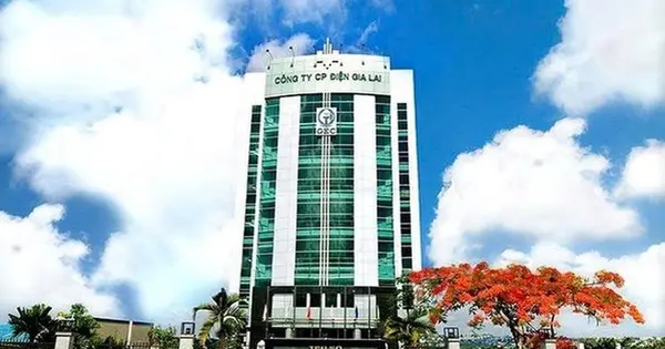 Điện Gia Lai thanh toán 70 tỷ đồng gốc, lãi trái phiếu trong nửa đầu năm 2025