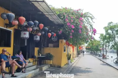 Diện Mạo Mới Phố Cổ Hội An Trước Giờ 'Siết' Vỉa Hè: Cơ Hội Và Thách Thức Cho Thị Trường Bất Động Sản