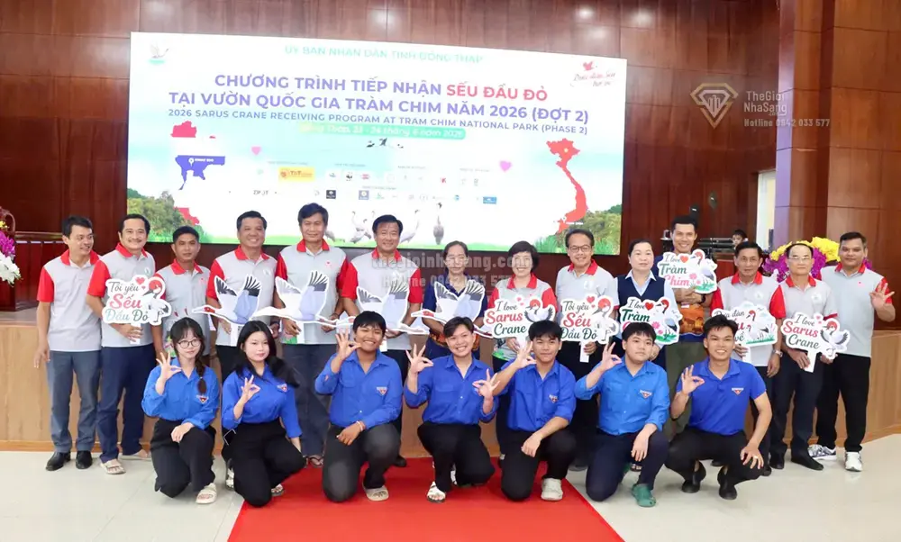 Đồng Tháp Phục Hồi Sếu Đầu Đỏ Tại Vườn Quốc Gia Tràm Chim: Tín Hiệu Tích Cực Cho Phát Triển Bền Vững Và Quy Hoạch Đô Thị Vùng Đồng Bằng Sông Cửu Long