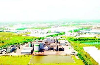 Dòng Vốn FDI Đổ Về Phía Đông TP.HCM: Cơ Hội Vàng Cho Thị Trường Bất Động Sản Cao Cấp và Hạ Tầng 2026