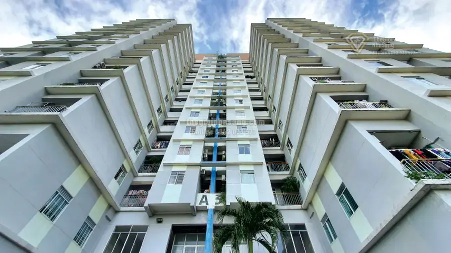 Đột Phá Giao Thông Đông Nam Bộ: Metro Số 1 Kéo Dài Đến Sân Bay Long Thành và Hệ Thống Cao Tốc Mở Rộng