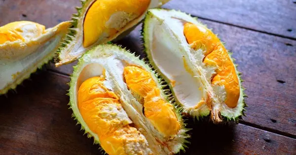 Giá Sầu Riêng Hôm Nay 24/9: Malaysia Tăng Cường Trồng Sầu Riêng để Đáp Ứng Nhu Cầu từ Trung Quốc