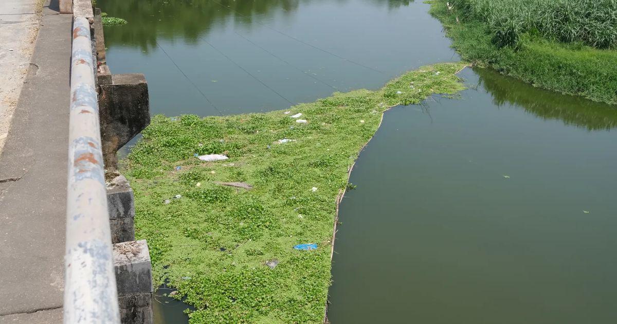 Phú Thọ: Giám sát chất lượng nước thải chăn nuôi tại 47 trang trại