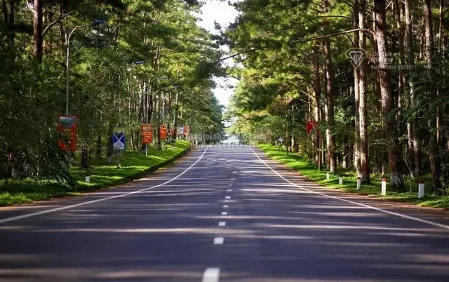 Dự án cao tốc Hòa Bình - Mộc Châu gần 10.000 tỷ đồng thúc đẩy phát triển bất động sản vùng Tây Bắc