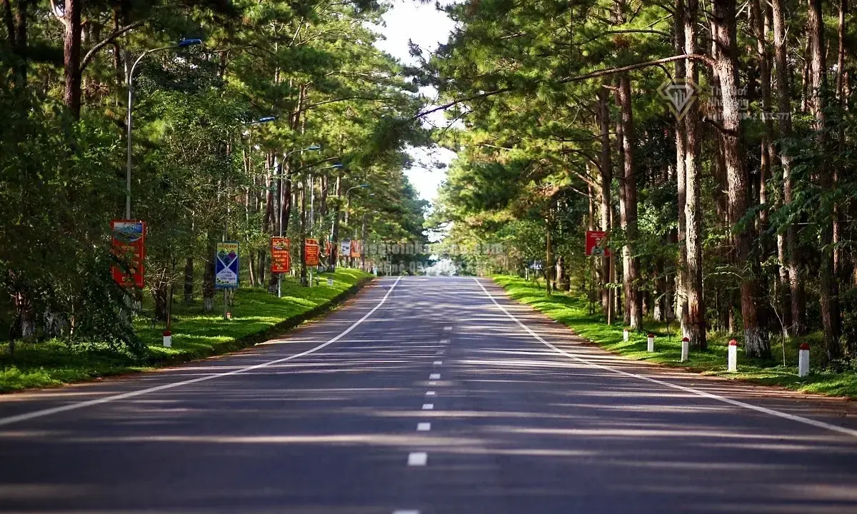 Dự án cao tốc Quảng Ngãi - Kon Tum: Cú hích mới cho thị trường bất động sản Tây Nguyên