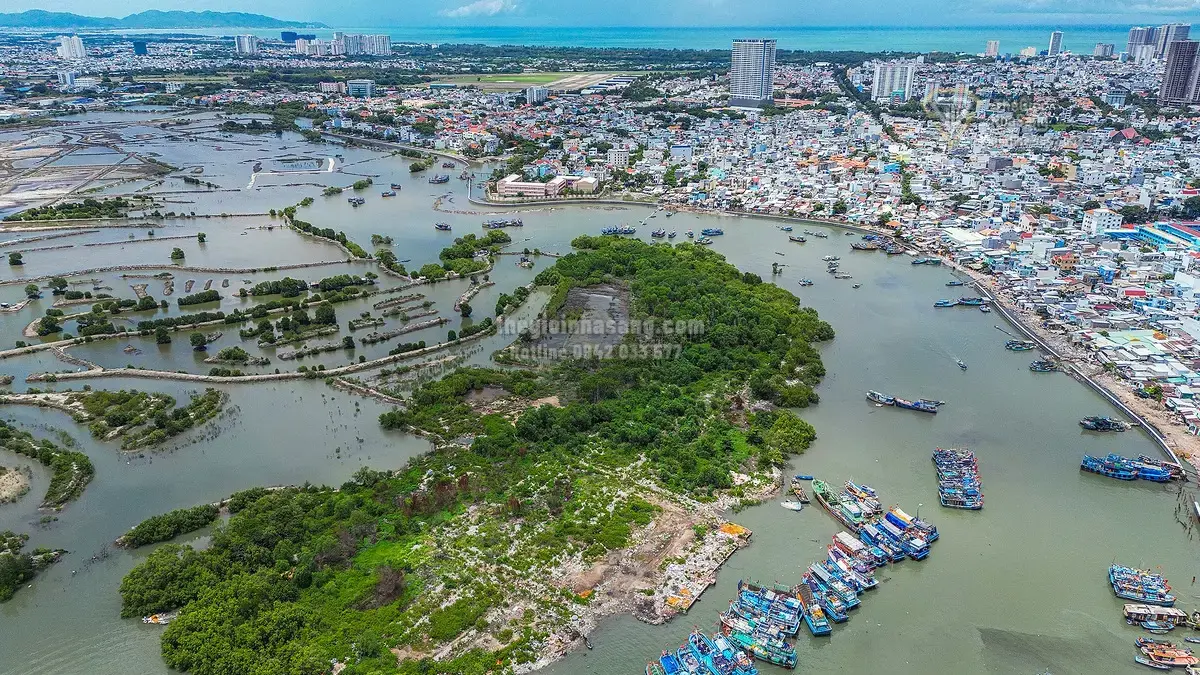 Đường Vượt Biển Cần Giờ - Vũng Tàu: Bước Đột Phá Kết Nối Vùng, Thúc Đẩy Bất Động Sản Và Hạ Tầng Giao Thông