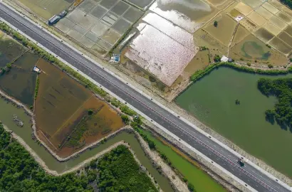 Đường xuyên đầm lầy nối cảng Cái Mép với cao tốc Biên Hòa – Vũng Tàu: Đòn bẩy hạ tầng thúc đẩy thị trường bất động sản vùng Đông Nam Bộ