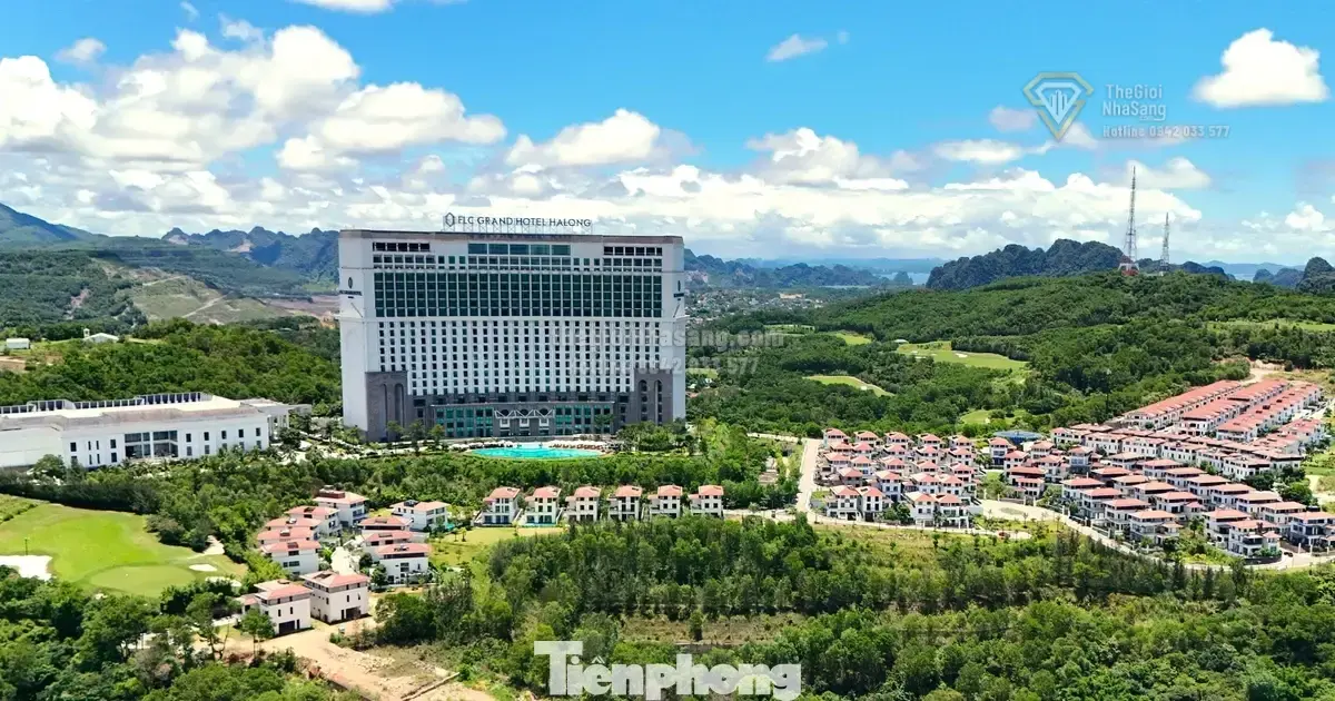 FLC Hạ Long Thua Kiện: Bài Học Về Rủi Ro Trong Kinh Doanh Bất Động Sản Nghỉ Dưỡng