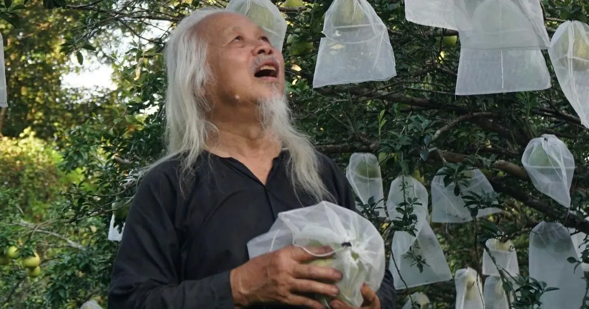 Ông già 82 tuổi lái xe điện ra vườn hái bưởi và rao bán trên mạng - Báo Thanh Niên