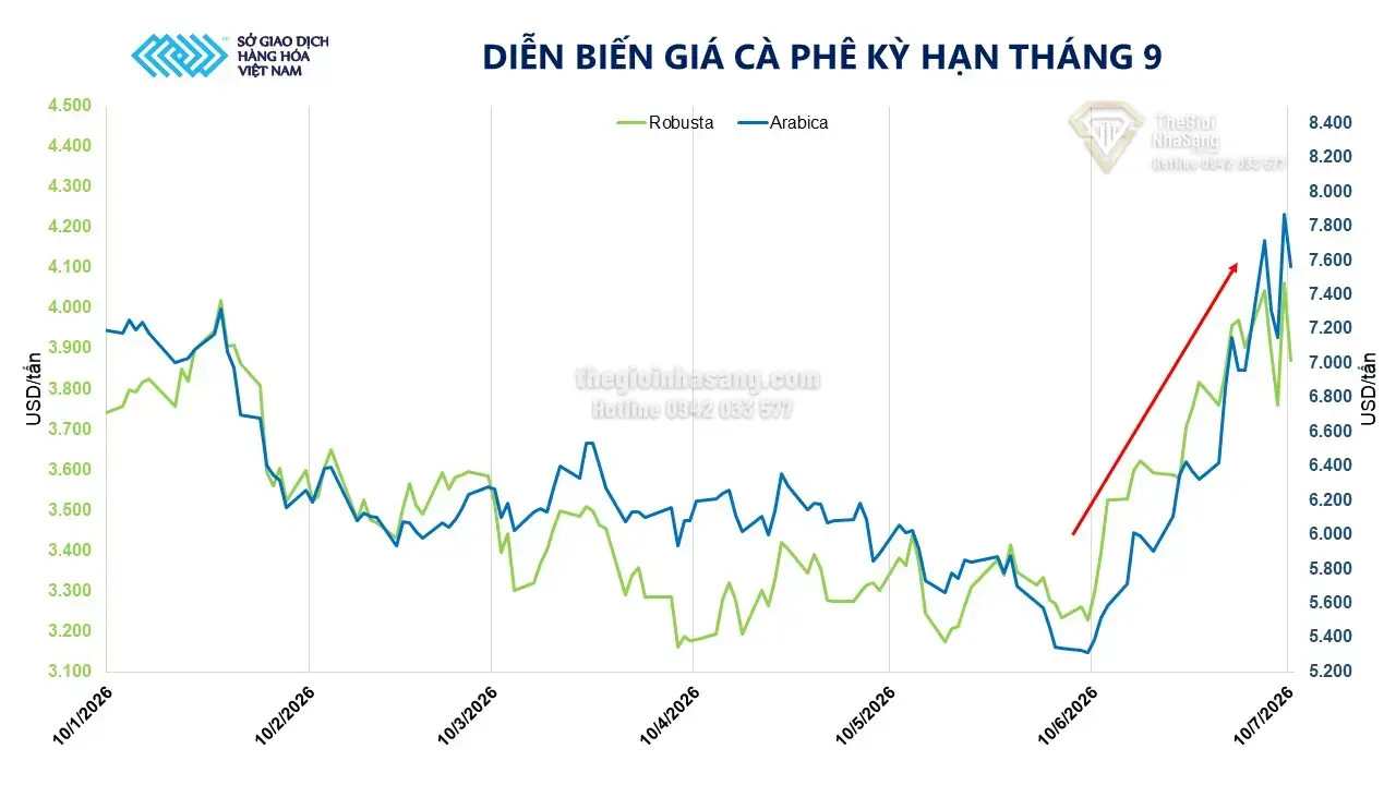 Giá cà phê tăng liên tục ảnh hưởng thế nào đến thị trường bất động sản và đầu tư tài sản tại Việt Nam?